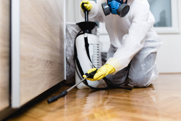 Best Residential Pest Control  in Wellsville, UT