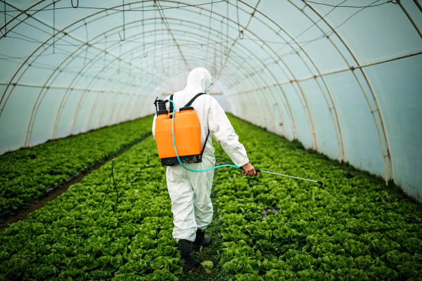 Best Mosquito Control Services  in Wellsville, UT