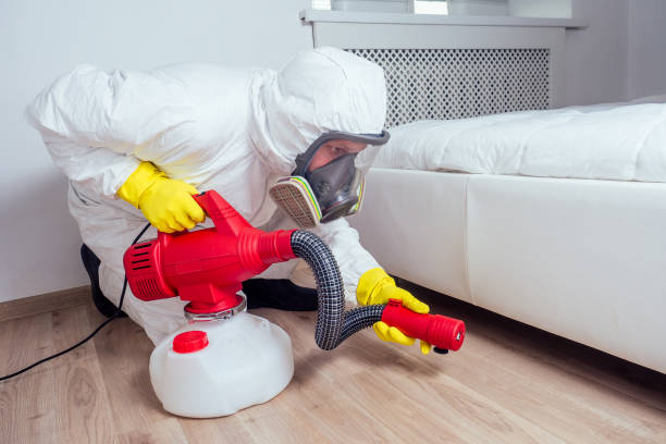 Best Best Pest Control Companies  in Wellsville, UT