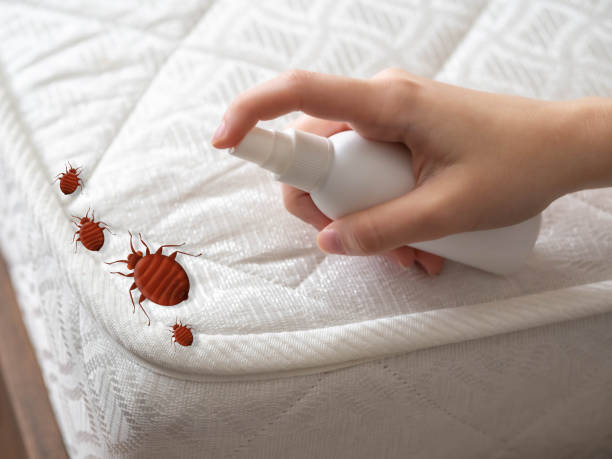 Best Pest Control Near Me  in Wellsville, UT